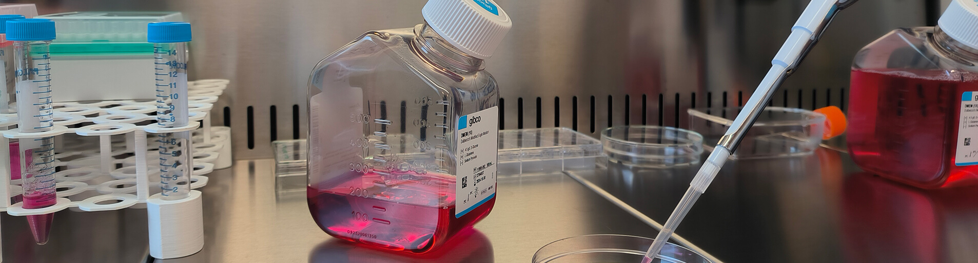 Preclin Radiobiology
